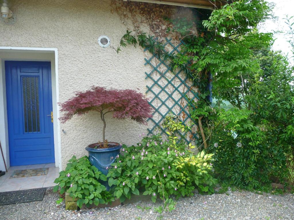 Maison Artigouha Bed & Breakfast Loubieng Екстериор снимка